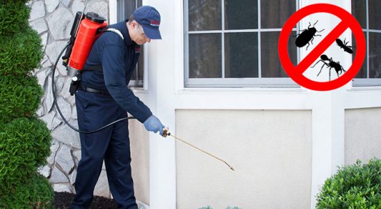 Köse Sivrisinek İlaçlama böcek ilaçlama ve haşere kontrolü — ilaclama-tr.com